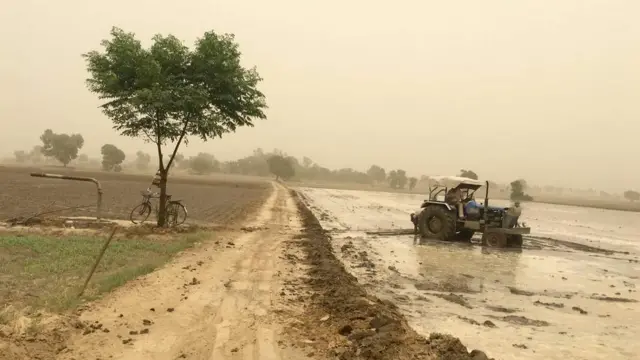 16000 விவசாயிகளின் தற்கொலைக்கு காரணம் பசுமை புரட்சியா?