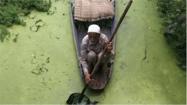 కశ్మీర్ ప్రజానీకం