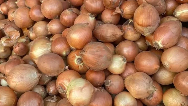 पाकिस्तान प्याज