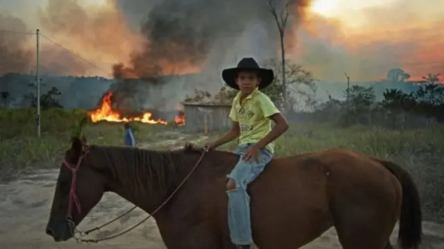 காடு எரிப்பு மாதிரிப் படம்