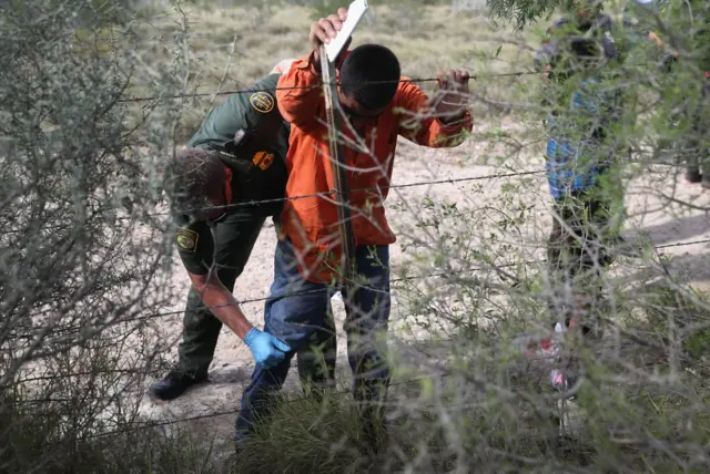 Задержание нелегального мигранта на границе