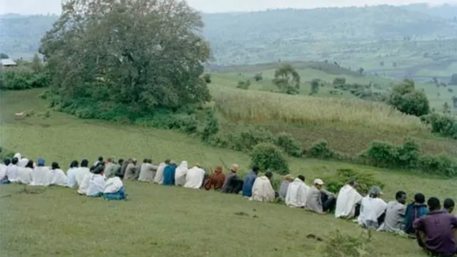 Namoota Margarra taa'anii jiran