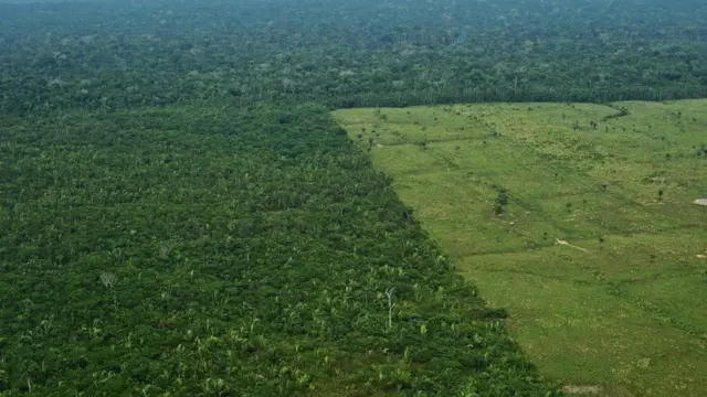 Desmatamento para pasto na Amazônia