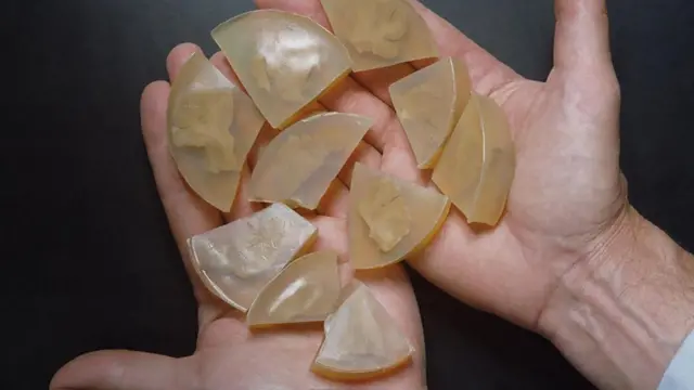 Albert Einstein'ın beyninden kesitler