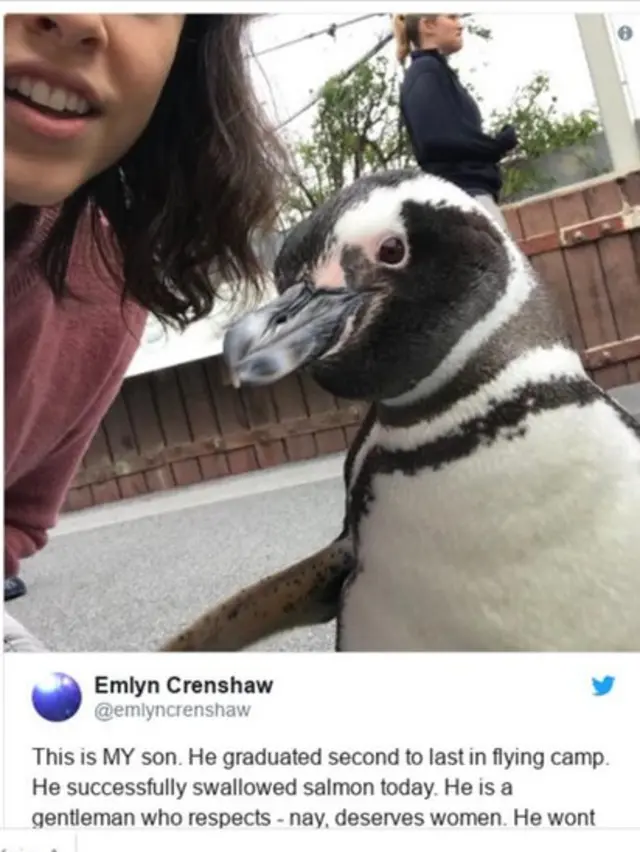 পিটার হ্যানসনের মায়ের টুইটের জবাবে অনেকেই বিদ্রুপাত্মক নানা টুইট করছেন