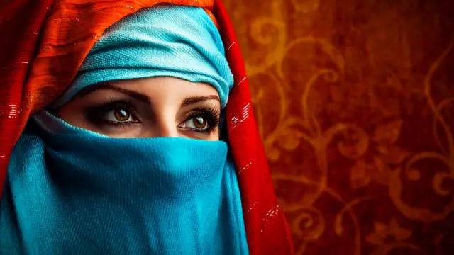 कर्नाटक हिजाब वाद