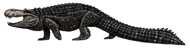 Purussaurus brasiliensis