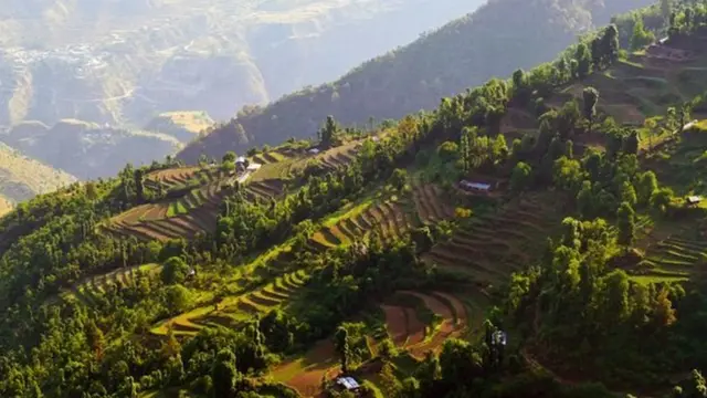 ولدت فاندانا شيفا في مدينة ديهرا دون الواقعة في وادي دوون في جبال الهيمالايا