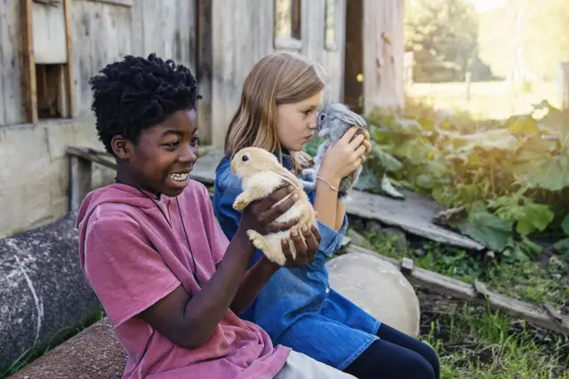 मुलांना प्राण्यांची काळजी घ्यायला सांगा. त्यांच्या आरोग्यासाठीही ते बरं आहे,
