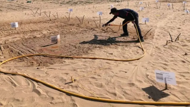 नैनोक्ले