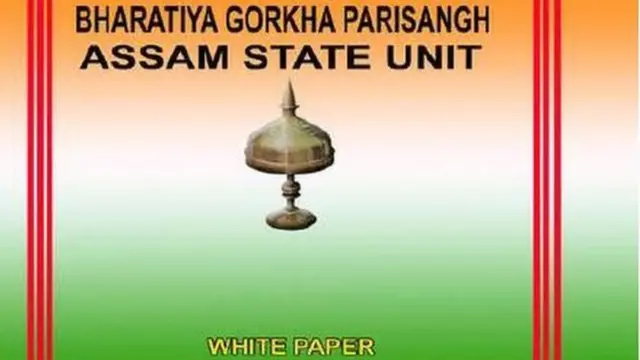 श्वेतपत्र