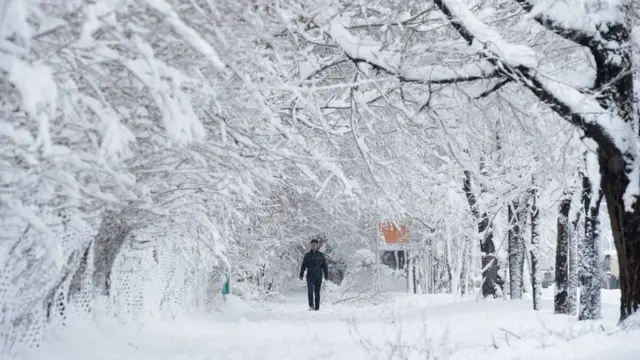 An Afghan man walks along a path under snow-laden trees in Kabul