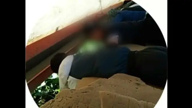 Ишчилар тракторнинг икки ёнига ўрнатилган қанотлардан ерга қараб ётиб бодринг терадилар.