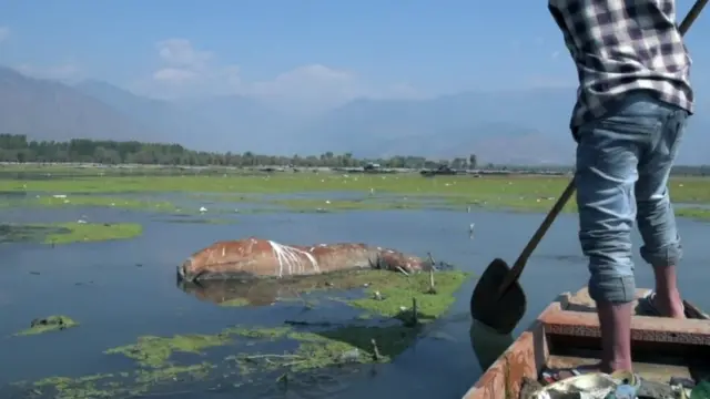 વુલર તળાવ પર બિલાલ અહેમદ ડાર