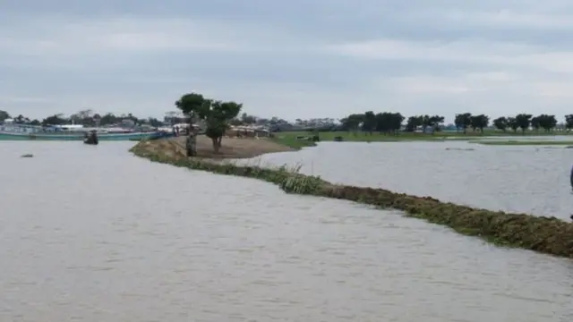 তলিয়ে গেছে হাওরের সব ফসল, ফাইল ফটো
