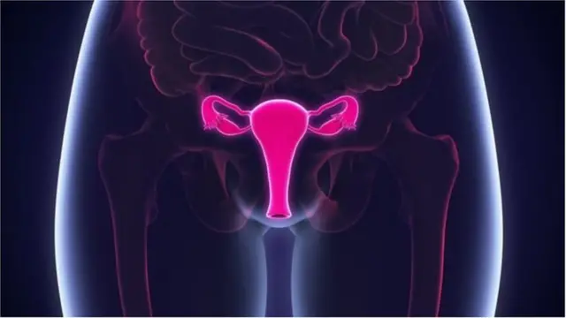 Misr jinsiy aloqa videolarini tomosha qiling