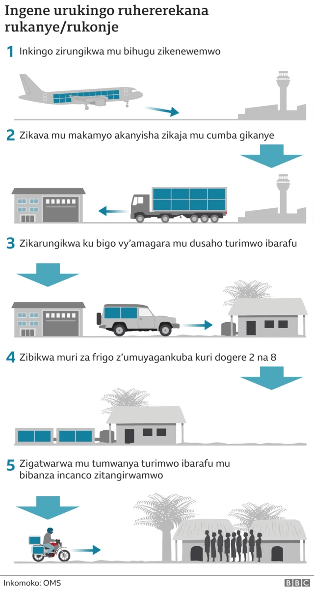 Uku niko urukingo Oxford Astra Zeneca, ruhendutse kurusha izindi, ruzagezwa aho rukenewe