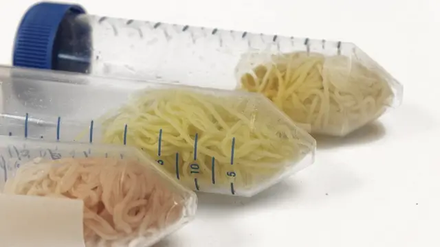 Benang katun yang telah diwarnai merah, kuning, dan oranye.