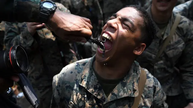 Учения Cobra Gold