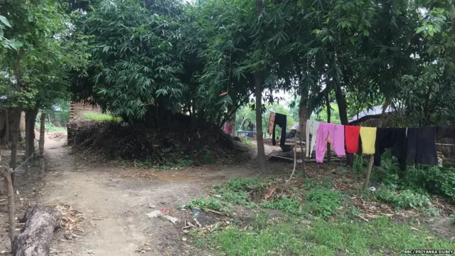 गोरखपुर , इंसेफेलाइटिस