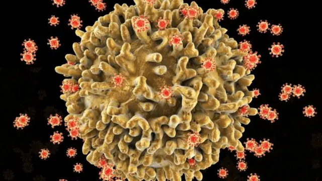 கொரோனா வைரஸ் கோப்புப் படம்