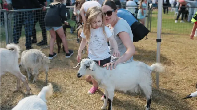 เด็กกับแพะ