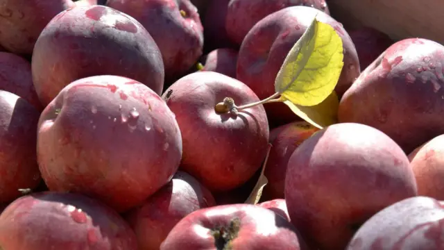 સફરજનનો ફોટોગ્રાફ