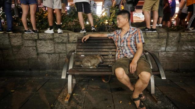 香港九龙尖沙咀一名当地居民与他的宠物兔在围观人群旁的长椅歇息（10/8/2019）