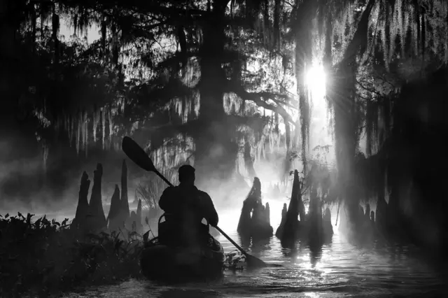 رجل يجدف وسط الأشجار