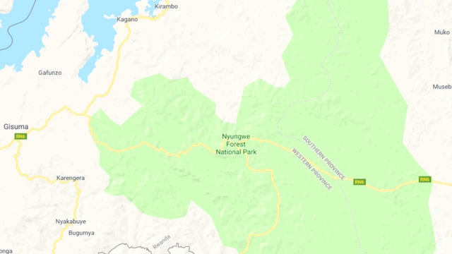 MRCD uvuga ko umaze ukwezi urwana n'ingabo z'u Rwanda muri Nyungwe