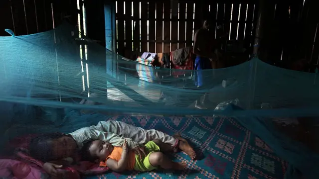 ডেঙ্গু রোগী