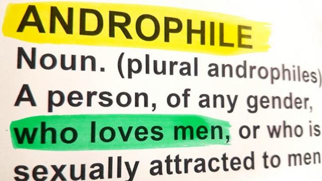 página de dicionario em ingles com o texto: "Uma pessoa, de qualquer gênero, que ama homens, ou que é atraída sexualmente por homem"