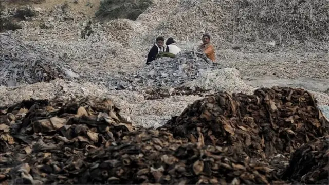 چمڑے کی بڑی صنعت رہی ہے