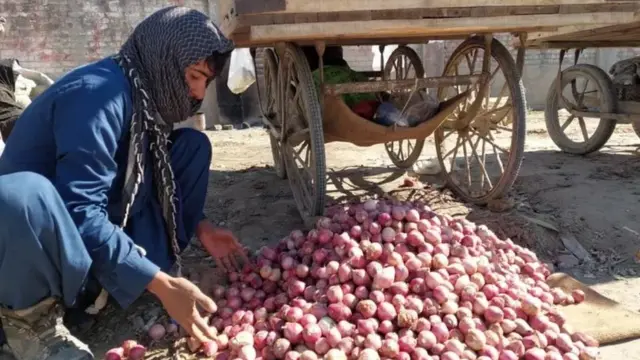 پيازو کاروباري