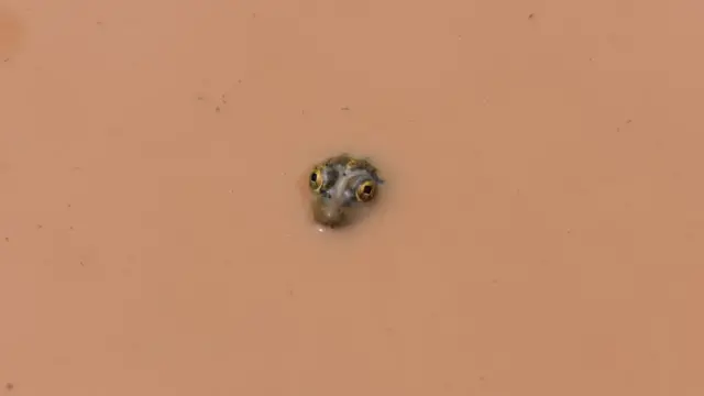 நீரும், நானும்: பிபிசி தமிழ் வாசகர்களின் புகைப்படத் தொகுப்பு