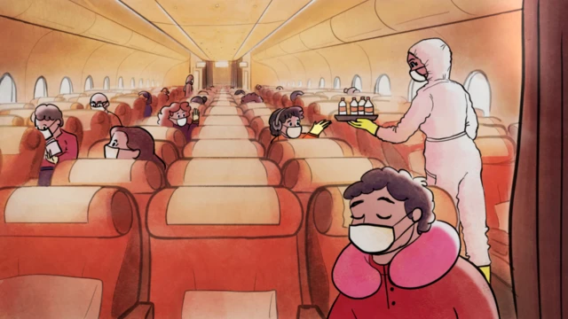 विमान प्रवास