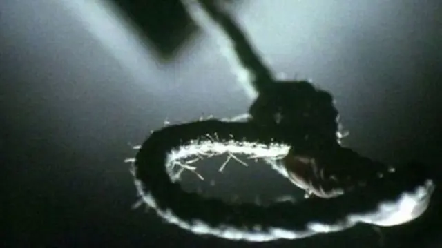 தற்கொலை