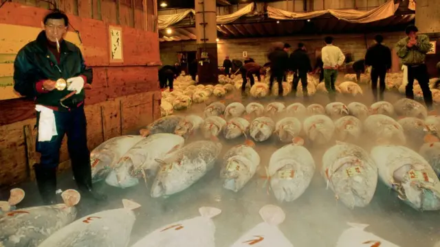 рыбный рынок