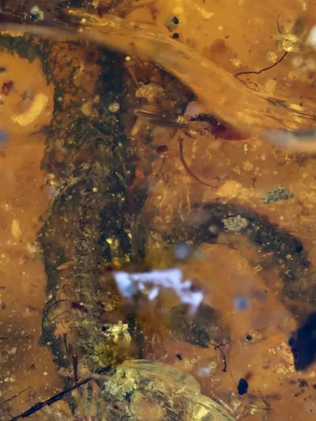 Columna de la serpiente