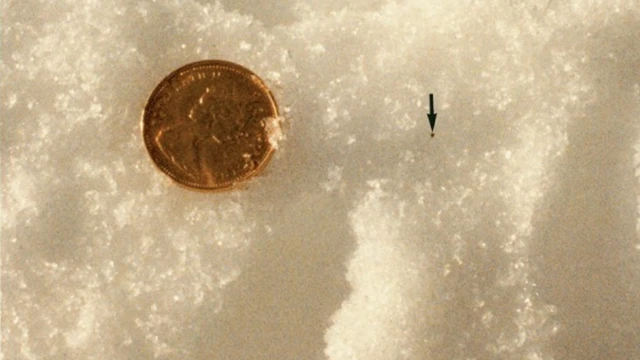 радиоактивные частицы