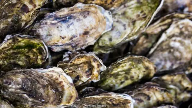 sampah, plastik, makanan laut, seafood, ikan