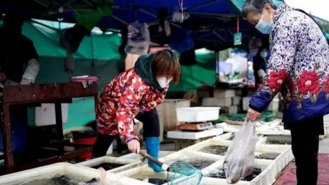 પશુબજાર