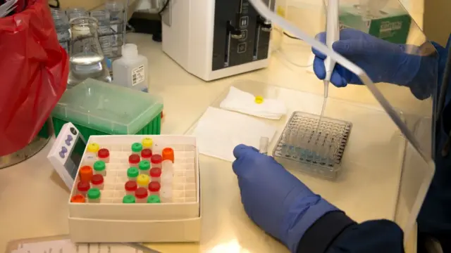 Muestras en un laboratorio