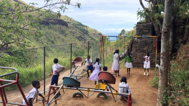 වනගත තක්සලාව