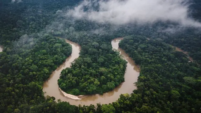 Visão aéreabetfair como apostarrio na Floresta Amazônica