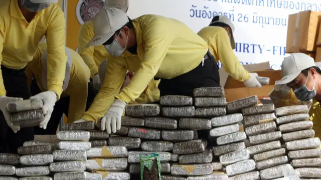 เจ้าหน้าที่เตรียมเผาทำลายกัญชาของกลางที่ จ. พระนครศรีอยุธยา เมื่อปี 2550