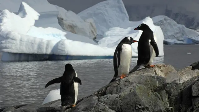 На западе Антарктиды июль выдался солнечным и теплым. Правда, на востоке континента было холоднее обычного. Зима всё же...