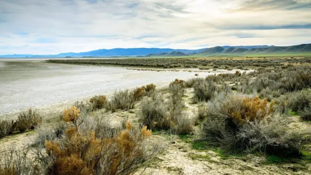 (圖片來源: Zack Frank)