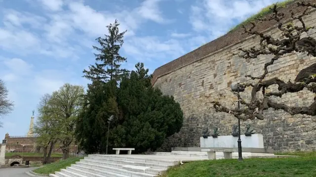 Калемегдан