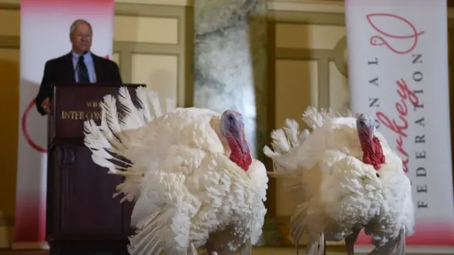 Thanksgiving 2021: Happy Thanksgiving Day messages from Biden, Obama, Clinton, Harris